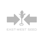 East West Seed Logo